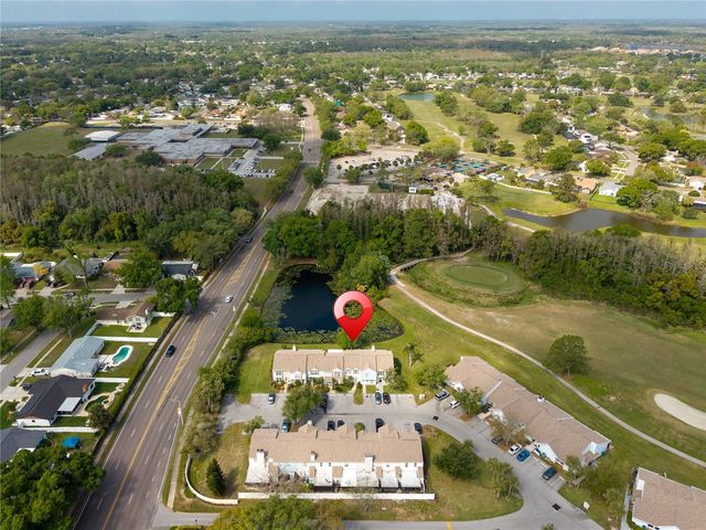 16110 RAMBLING VINE DRIVE W, Tampa, FL 33624