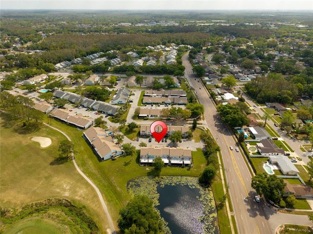 16110 RAMBLING VINE DRIVE W, Tampa, FL 33624