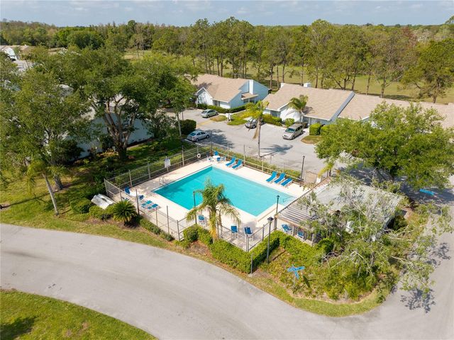 16110 RAMBLING VINE DRIVE W, Tampa, FL 33624