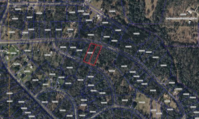 000 Cherry Laurel Lane, New Caney, TX 77357