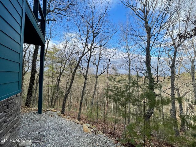 2500 Joe Brown Hwy, Tellico Plains, TN 37385