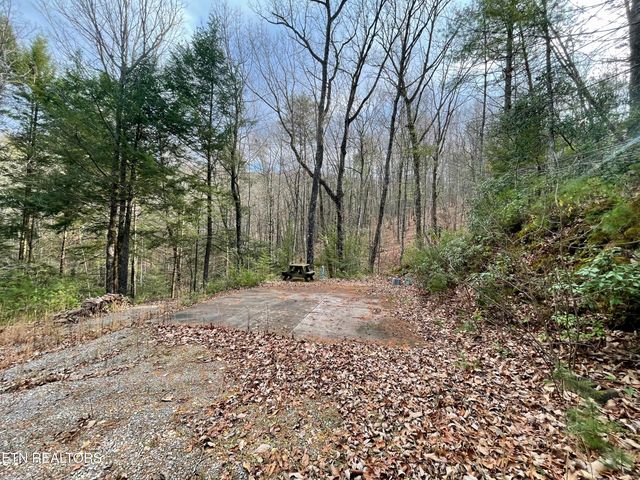 2500 Joe Brown Hwy, Tellico Plains, TN 37385