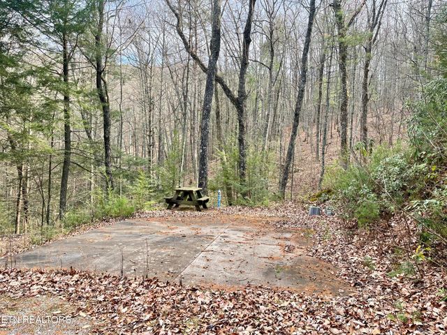 2500 Joe Brown Hwy, Tellico Plains, TN 37385