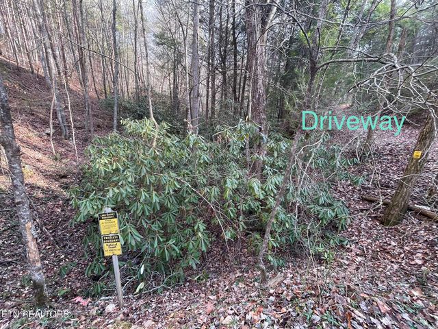 2500 Joe Brown Hwy, Tellico Plains, TN 37385