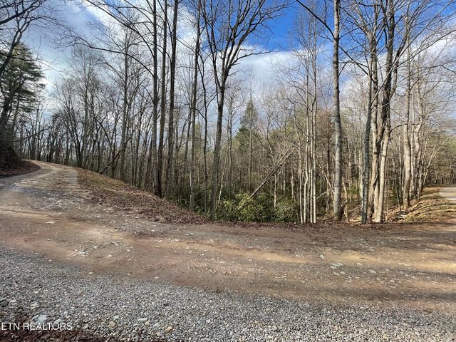 2500 Joe Brown Hwy, Tellico Plains, TN 37385