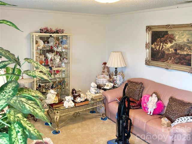 357 Pruitt Houser Street, Lincolnton, NC 28092