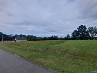 707 Cochran Avenue, Albertville, AL 35951