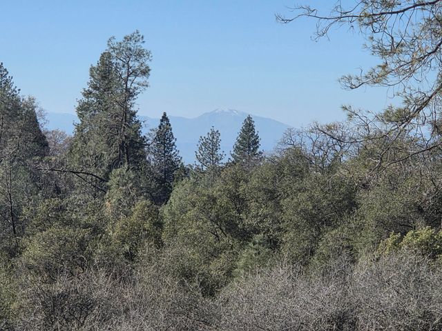 6612 Black Butte Road, Shingletown, CA 96088