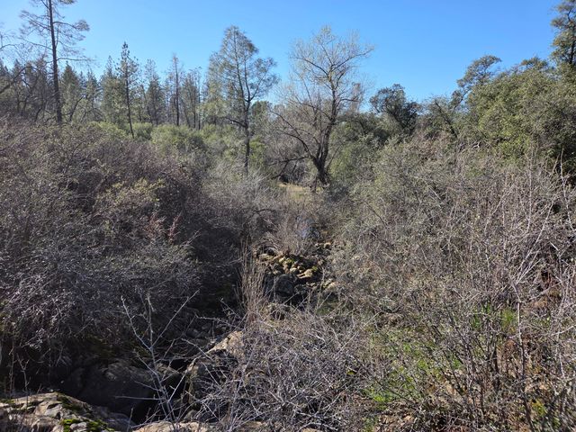 6612 Black Butte Road, Shingletown, CA 96088