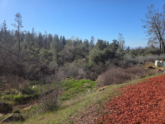 6612 Black Butte Road, Shingletown, CA 96088