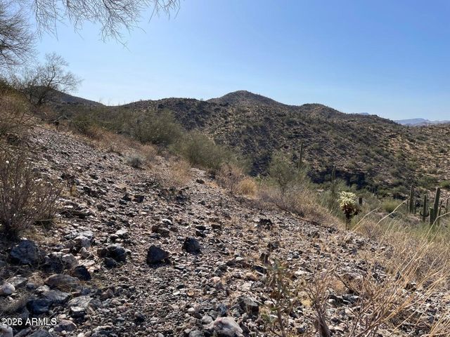 3246 N SILVER TIP Trail, Queen Valley, AZ 85118