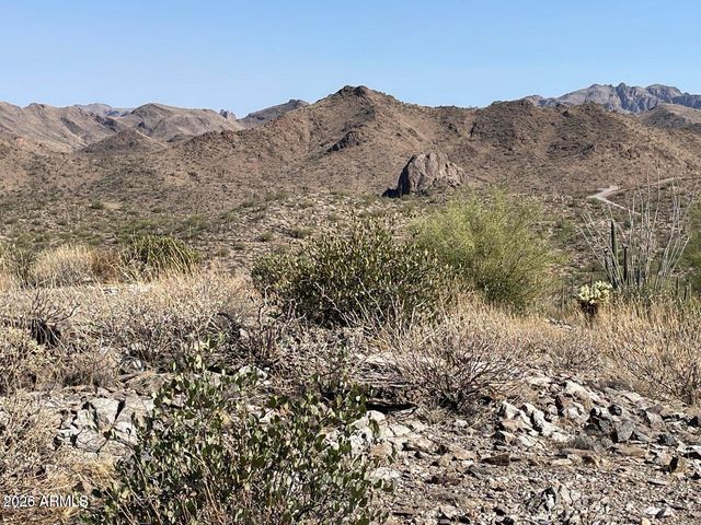 3246 N SILVER TIP Trail, Queen Valley, AZ 85118