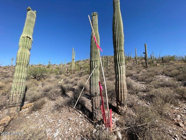 3246 N SILVER TIP Trail, Queen Valley, AZ 85118