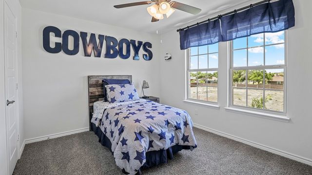 430 Scenic Spark Lane, Lavon, TX 75166