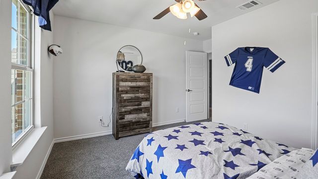 430 Scenic Spark Lane, Lavon, TX 75166
