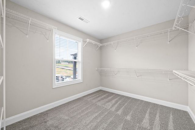 257 Cardinal Creek, Clarksville, TN 37040