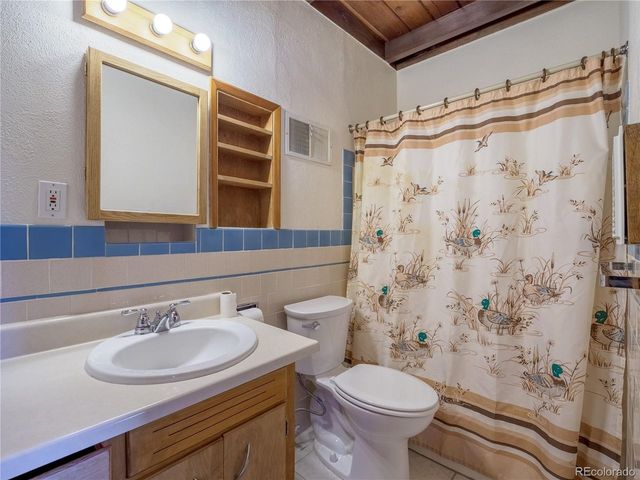 438 Crossman Ave, Buena Vista, CO 81211