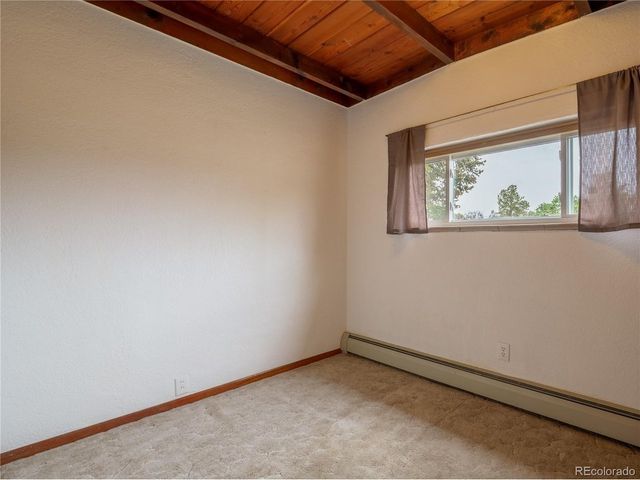 438 Crossman Ave, Buena Vista, CO 81211