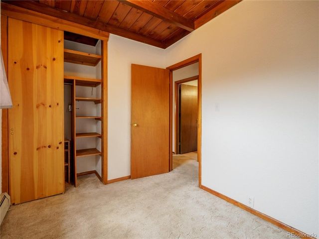 438 Crossman Ave, Buena Vista, CO 81211