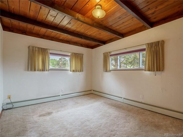 438 Crossman Ave, Buena Vista, CO 81211