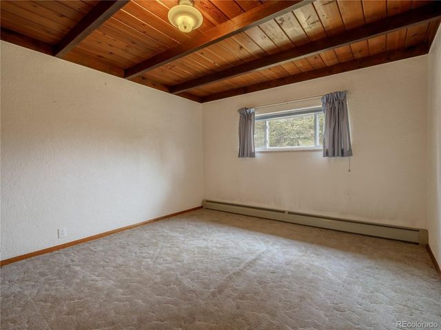 438 Crossman Ave, Buena Vista, CO 81211