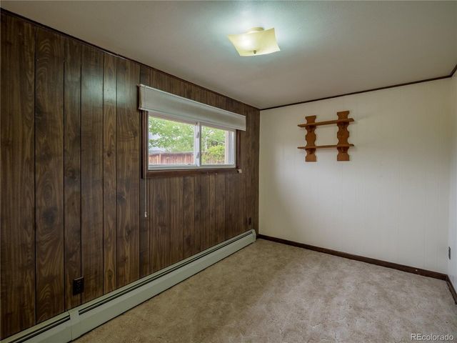 438 Crossman Ave, Buena Vista, CO 81211