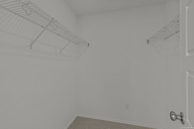 4029 Lazy Lily Dr, Seguin, TX 78155