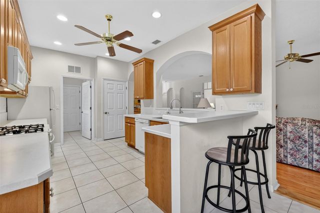 20634 QUEEN ALEXANDRA DRIVE, Leesburg, FL 34748