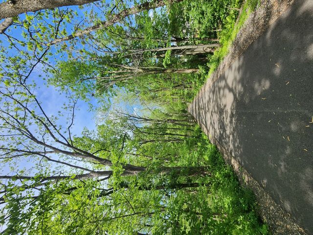 903 N Linden Street 207, Normal, IL 61761