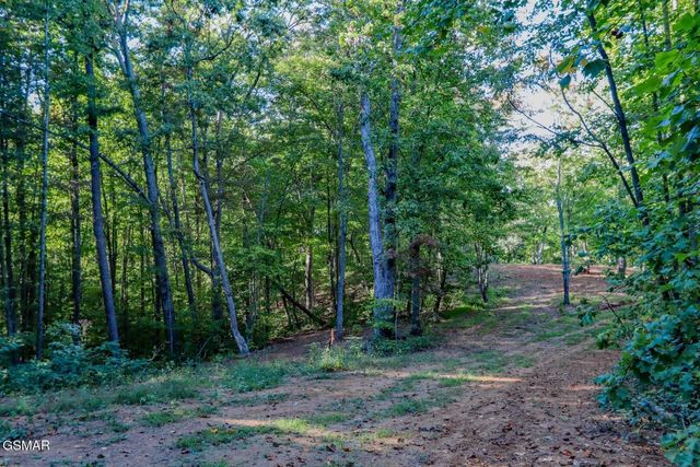 142 Delicious Way, Newport, TN 37821
