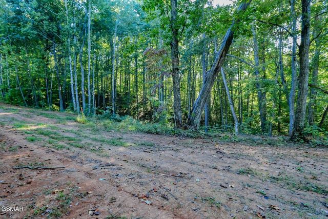 142 Delicious Way, Newport, TN 37821