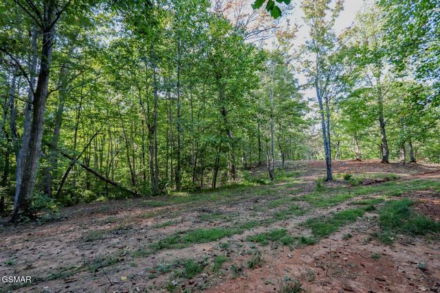 142 Delicious Way, Newport, TN 37821