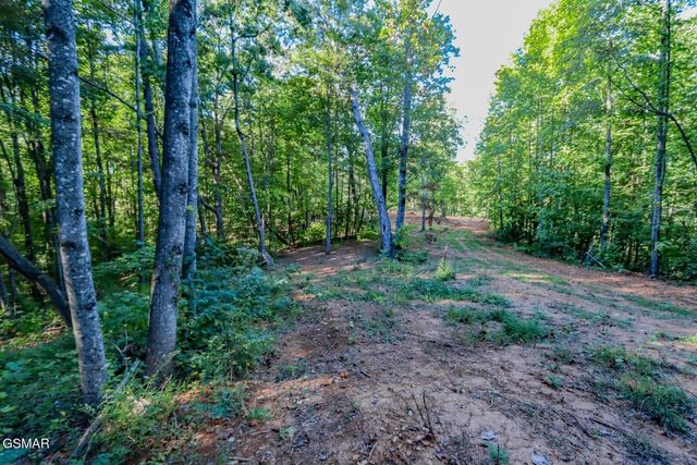 142 Delicious Way, Newport, TN 37821