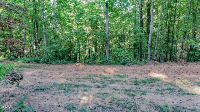 142 Delicious Way, Newport, TN 37821