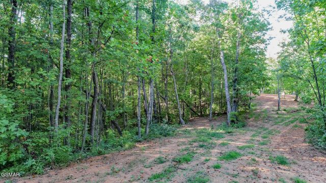 142 Delicious Way, Newport, TN 37821
