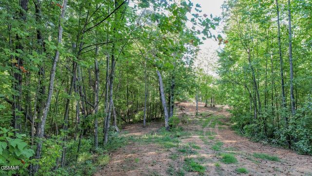 142 Delicious Way, Newport, TN 37821
