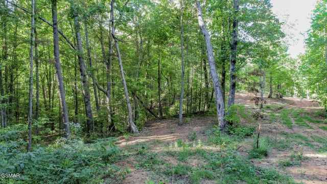 142 Delicious Way, Newport, TN 37821