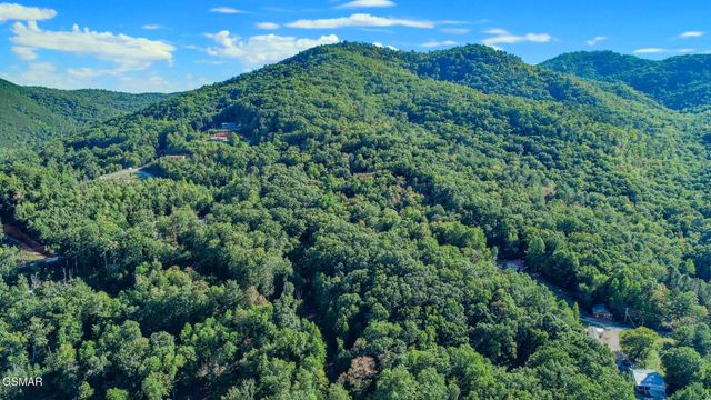 142 Delicious Way, Newport, TN 37821