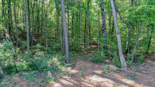 142 Delicious Way, Newport, TN 37821