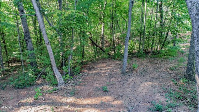 142 Delicious Way, Newport, TN 37821