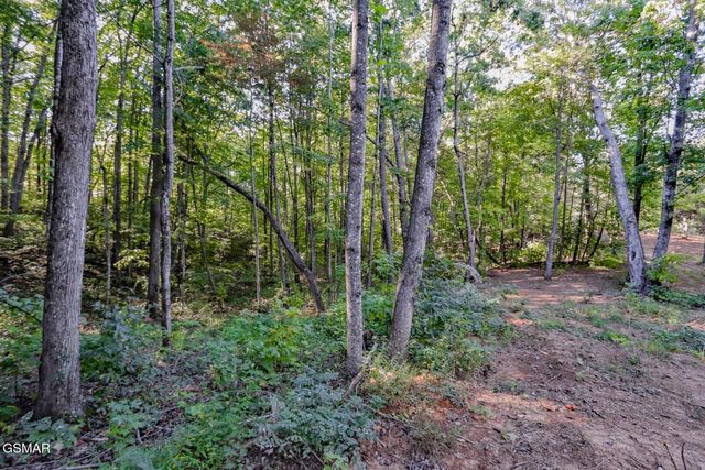 142 Delicious Way, Newport, TN 37821