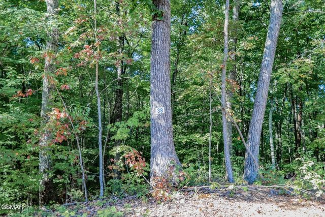 142 Delicious Way, Newport, TN 37821