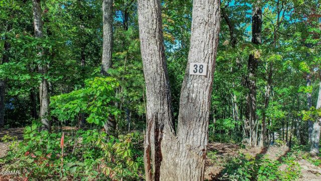 142 Delicious Way, Newport, TN 37821
