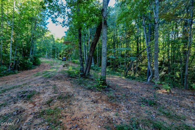 142 Delicious Way, Newport, TN 37821