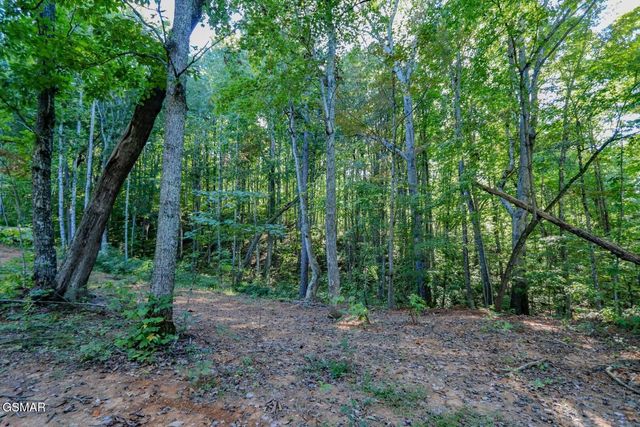 142 Delicious Way, Newport, TN 37821