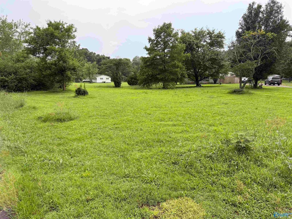 13231 Sugarplum Lane, Madison, AL 35756