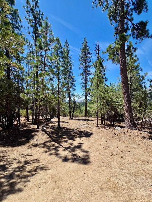 Image 14 of property listing at 167 Pine Cone Path, North Fork, CA 93643
