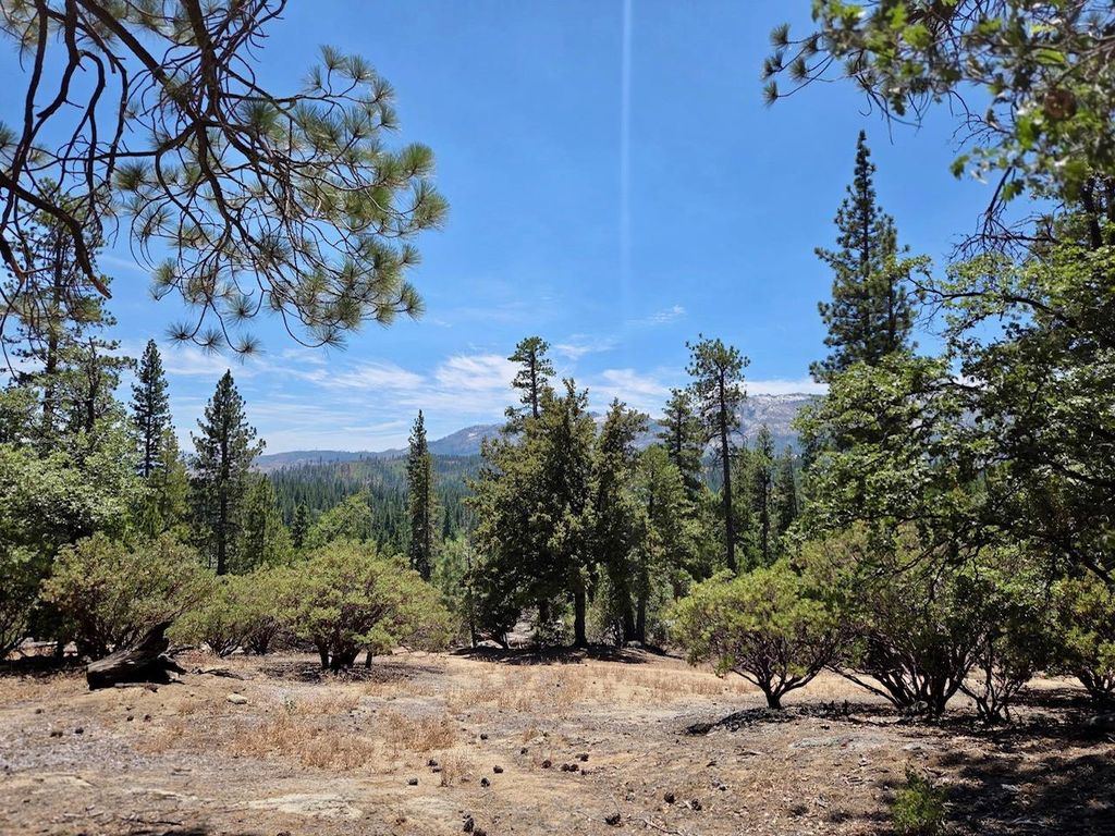 Image 16 of property listing at 167 Pine Cone Path, North Fork, CA 93643