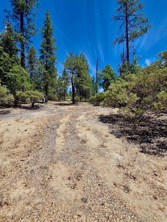 Image 17 of property listing at 167 Pine Cone Path, North Fork, CA 93643