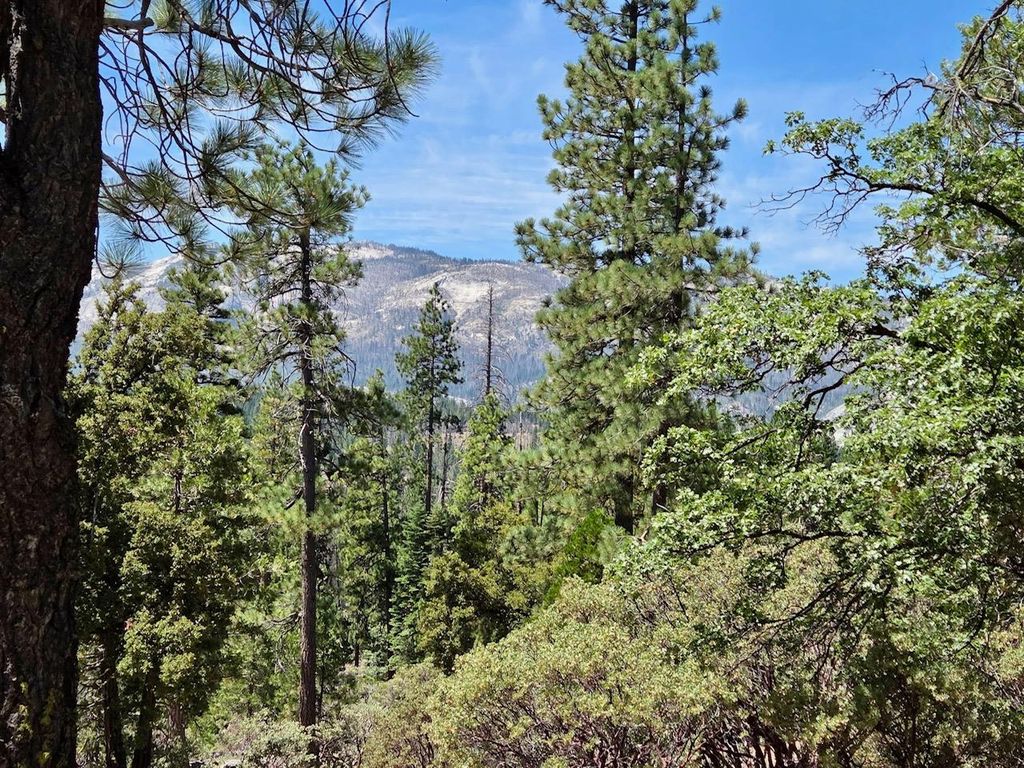 Image 21 of property listing at 167 Pine Cone Path, North Fork, CA 93643